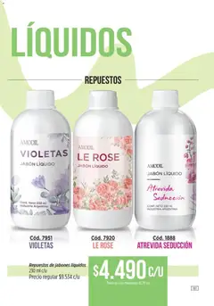Vista previa Amodil - Campaña 11 válido desde el 01/07/2026 | Página: 161 | Productos: Jabón líquido, Jabón