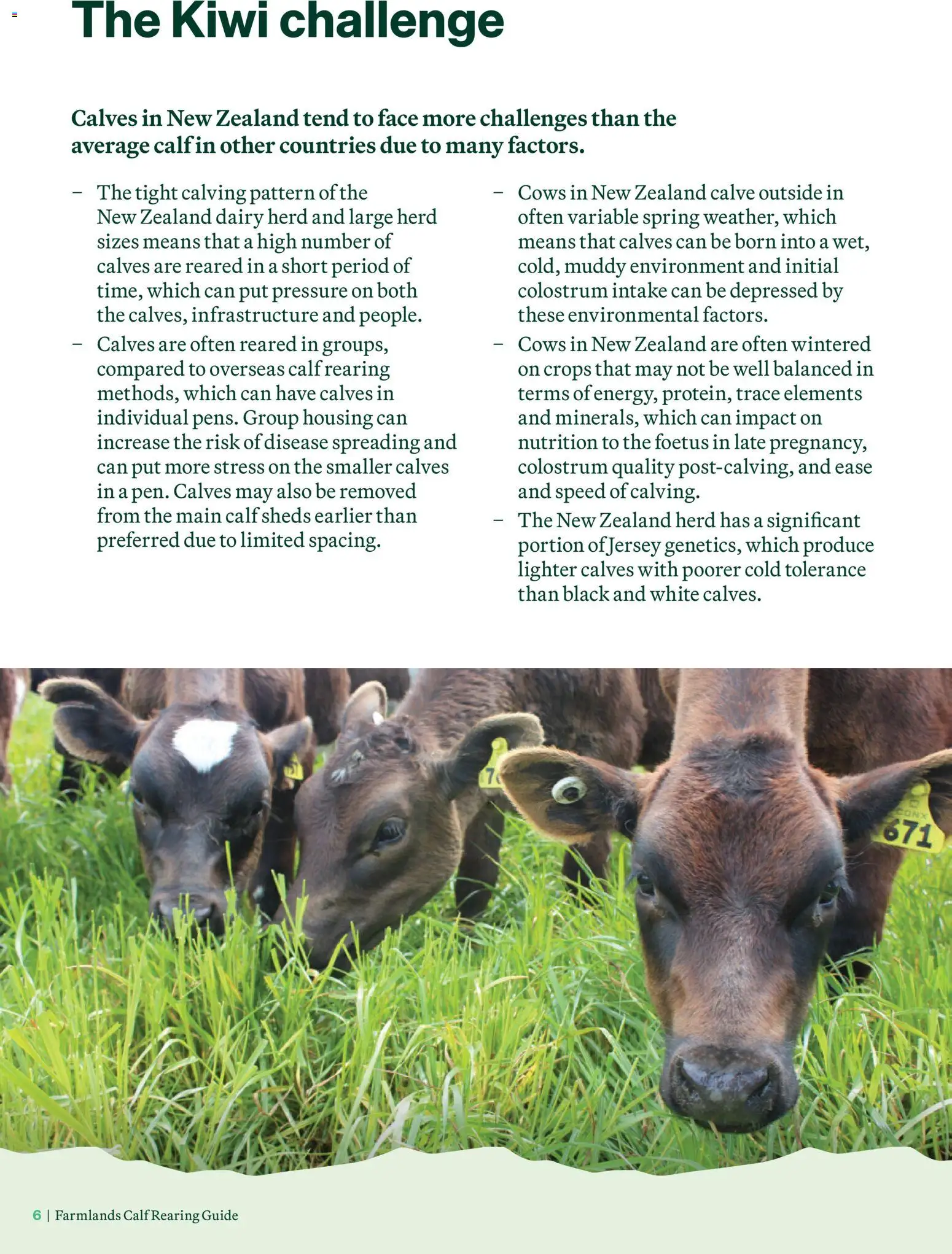 Farmlands catalogue from 04.06.2026 | Page: 6