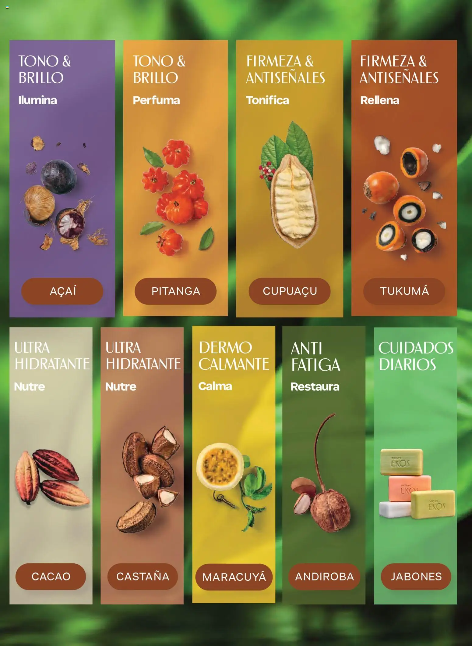 Nuevas ofertas de Natura válidas en toda la República Mexicana desde el 07/11/2026. ¡Encuentra las mejores ofertas en Natura campaña 17 2026! | Página: 132