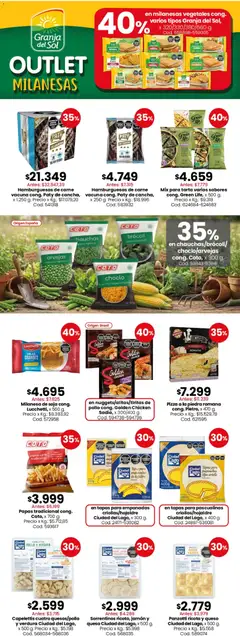 Vista previa Coto ofertas válido desde el 06/07/2026 | Página: 7
