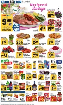 Preview of Food Lion weekly ads valid from 06.05.2026