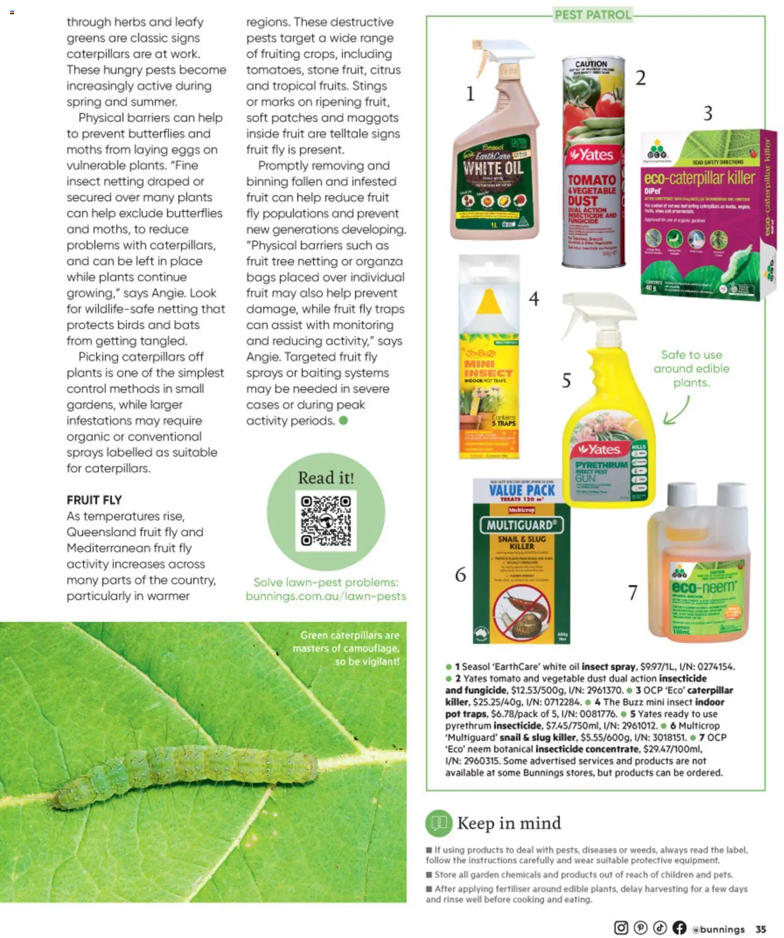 Bunnings Warehouse catalogue - valid from 01/08/2026 | Page: 35 | Products: Pot, Oil, Fruit, Citrus
