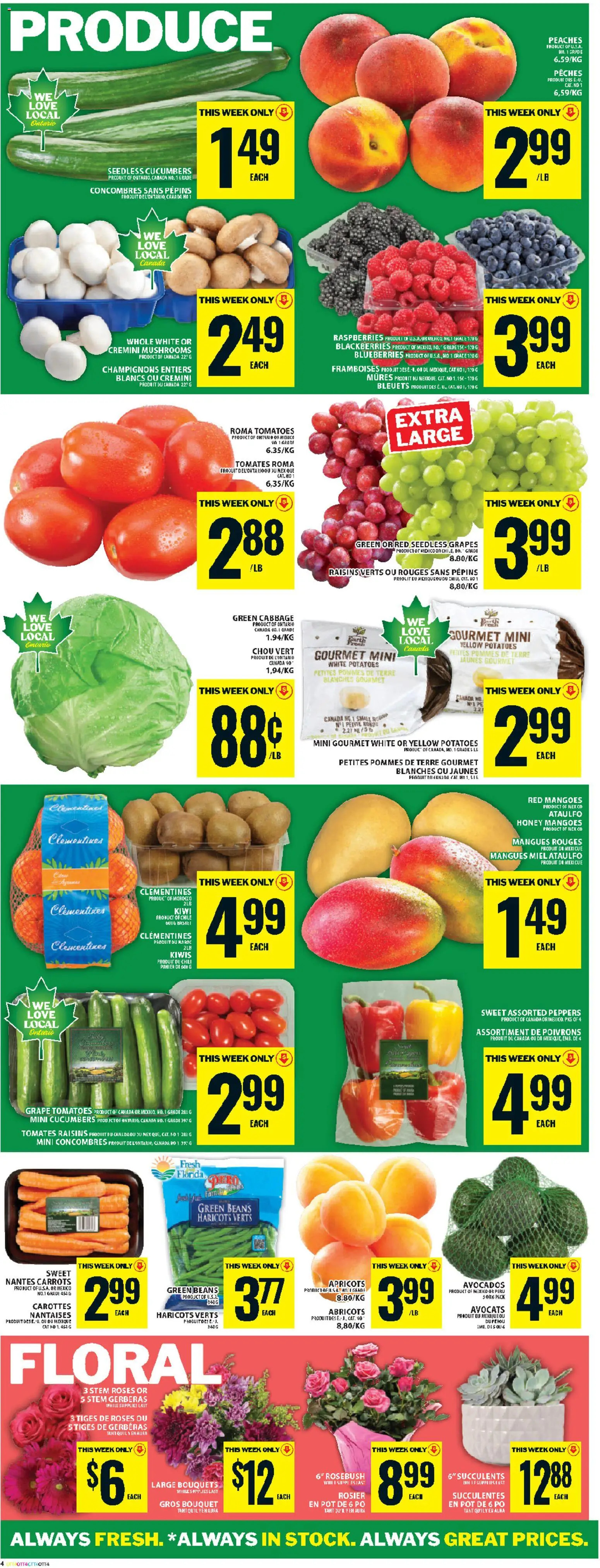 Food Basics flyer valid from 21.05.2026 | Page: 7 | Products: Kiwi, Cucumbers, Potatoes, Tomatoes