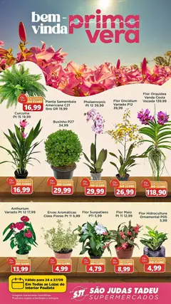 São Judas Tadeu ofertas Primavera - Pré-Visualização do folheto da loja São Judas Tadeu, válido de 24/09/2026
