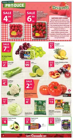 Preview of Co-op Food weekly flyer / circulaire from shop Co-op Food valid from Jun 25, 2026 | Page: 3 | Products: Pineapple, Strawberries, Salad, Tomatoes