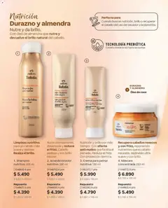 Natura catálogo válido desde el 31.08.2026 | Página: 135