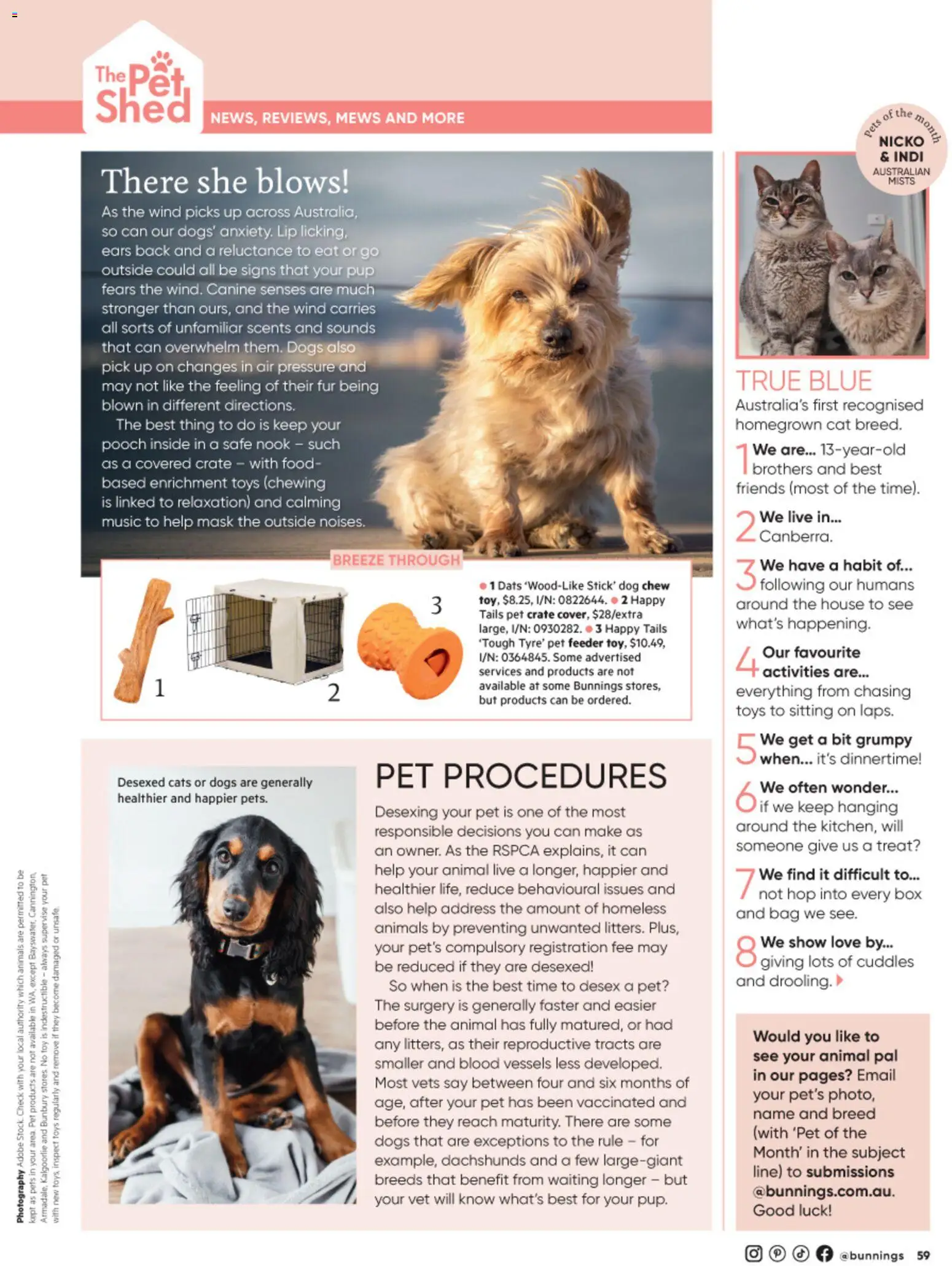 Bunnings Warehouse catalogue - valid from 01/08/2026 | Page: 67 | Products: Mask, Shed, Toys, Bag