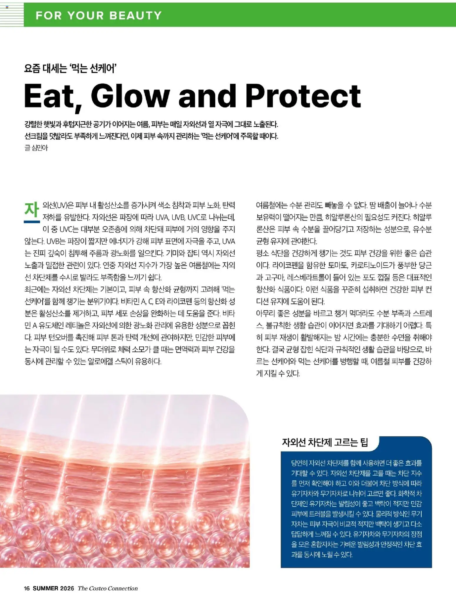  | 페이지: 18 | 상품: 자외선 차단제, 차, 당근, 포도