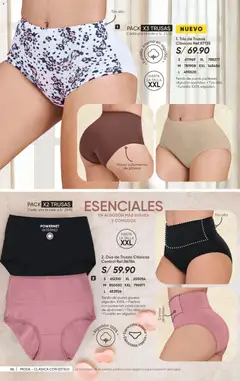 Vista previa de folleto Azzorti catálogo - Campaña 13 de la Azzorti válido desde 14/08/2026 | Página: 88 | Productos: Té