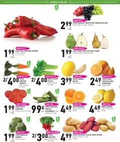 Preview of Coppas Fresh Market weekly flyer / circulaire from shop Coppas Fresh Market valid from Sep 3, 2026 | Page: 2