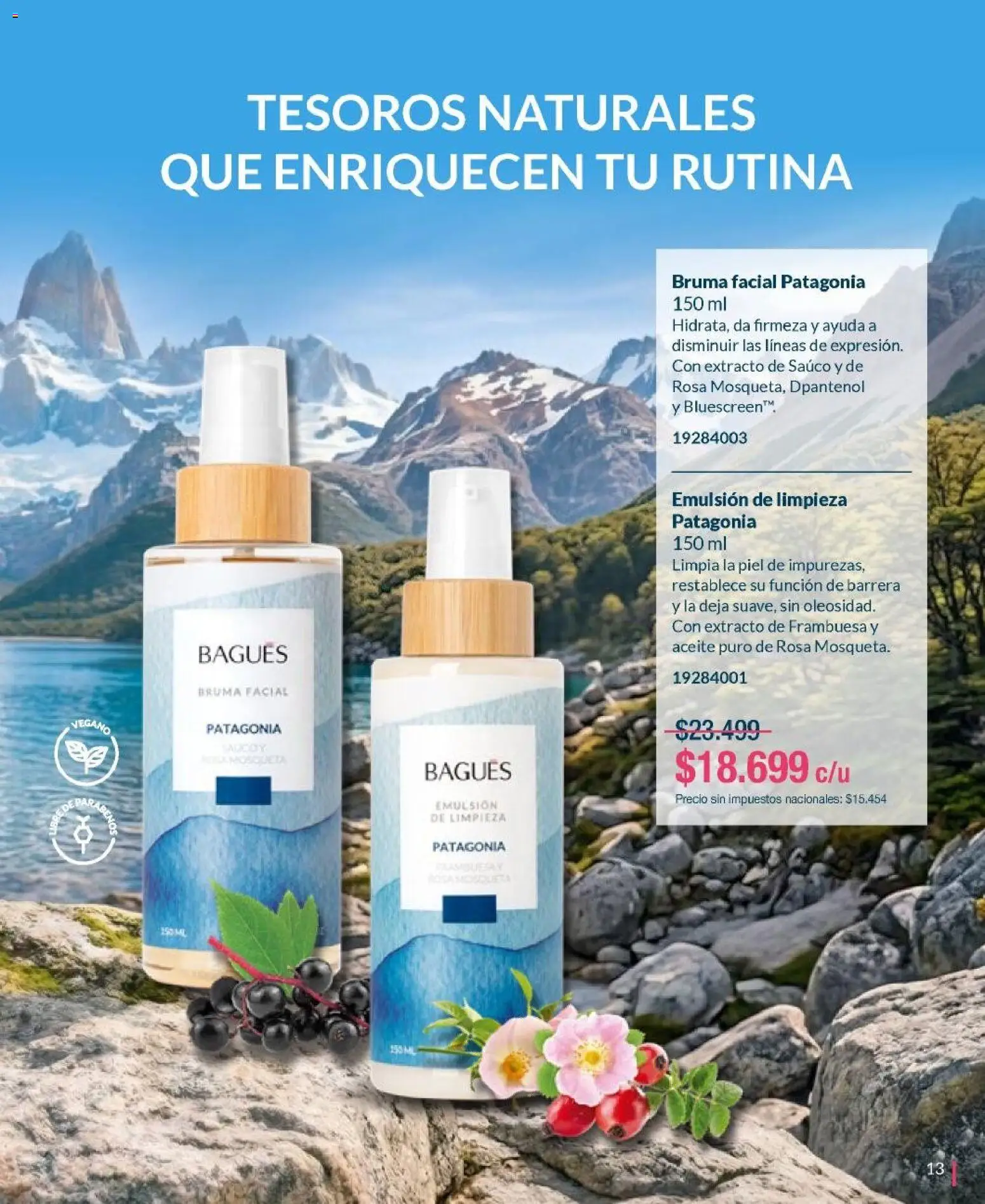 Bagués - Catálogo │ válido desde el 01.06.2026 | Página: 13 | Productos: Aceite, Emulsión, Bruma