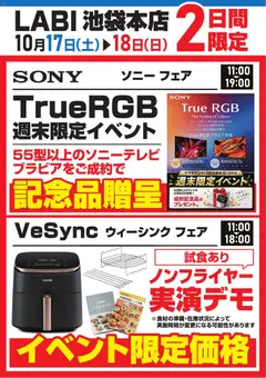 2026/10/14から有効なオファーを含む ヤマダ 電機 - ソニーフェア/ウィーシンクフェア