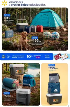 Vista previa de Walmart folleto Toy Story, nuevo folleto de la tienda, válido en México a partir del 08.06.2026 | Página: 17