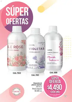 Vista previa Catálogo Amodil Campaña 9 válido desde el 05.05.2026 | Página: 85 | Productos: Jabón líquido, Jabón