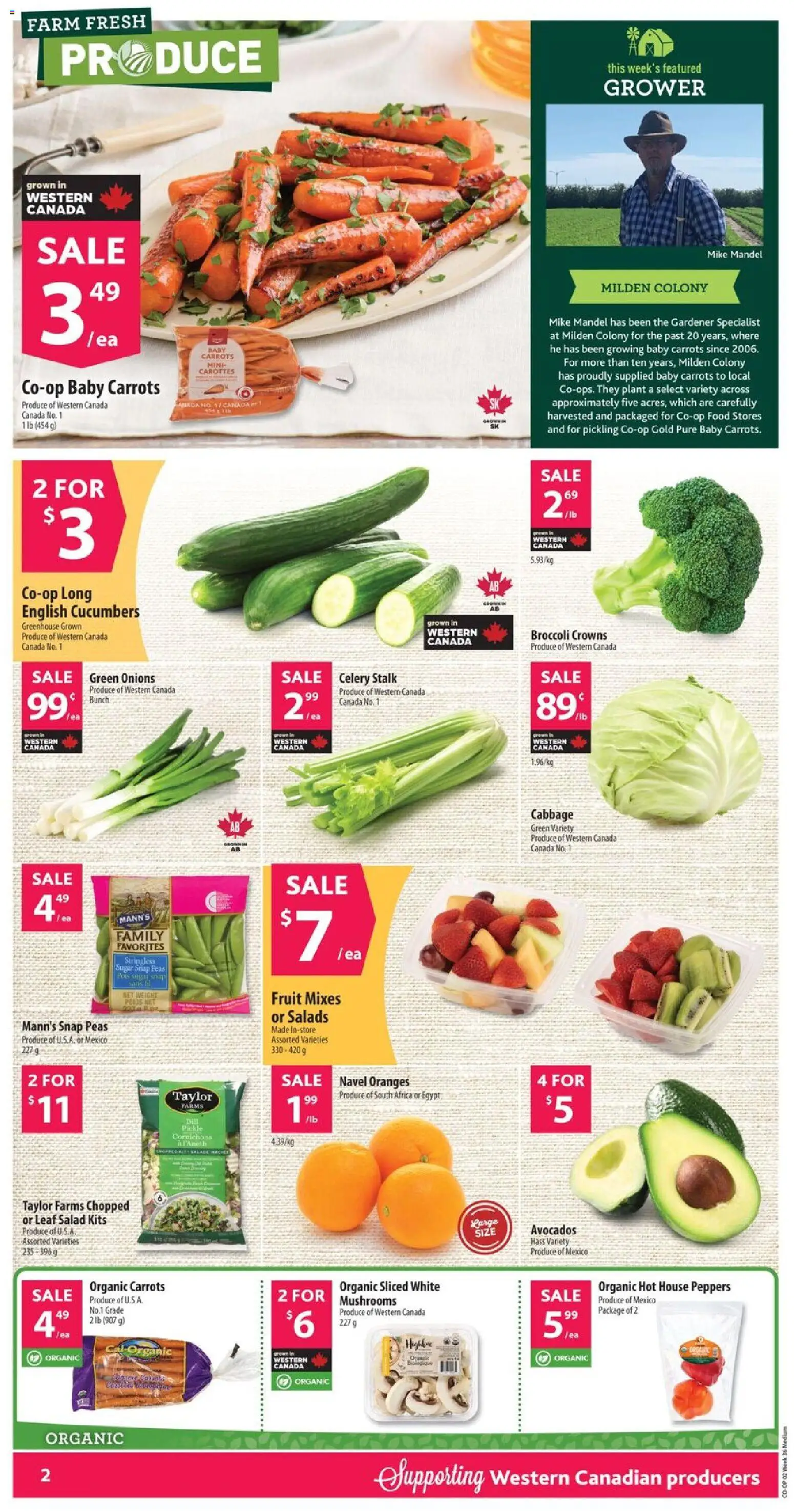 Co-op Food flyer valid from Sep 3, 2026 | Page: 3