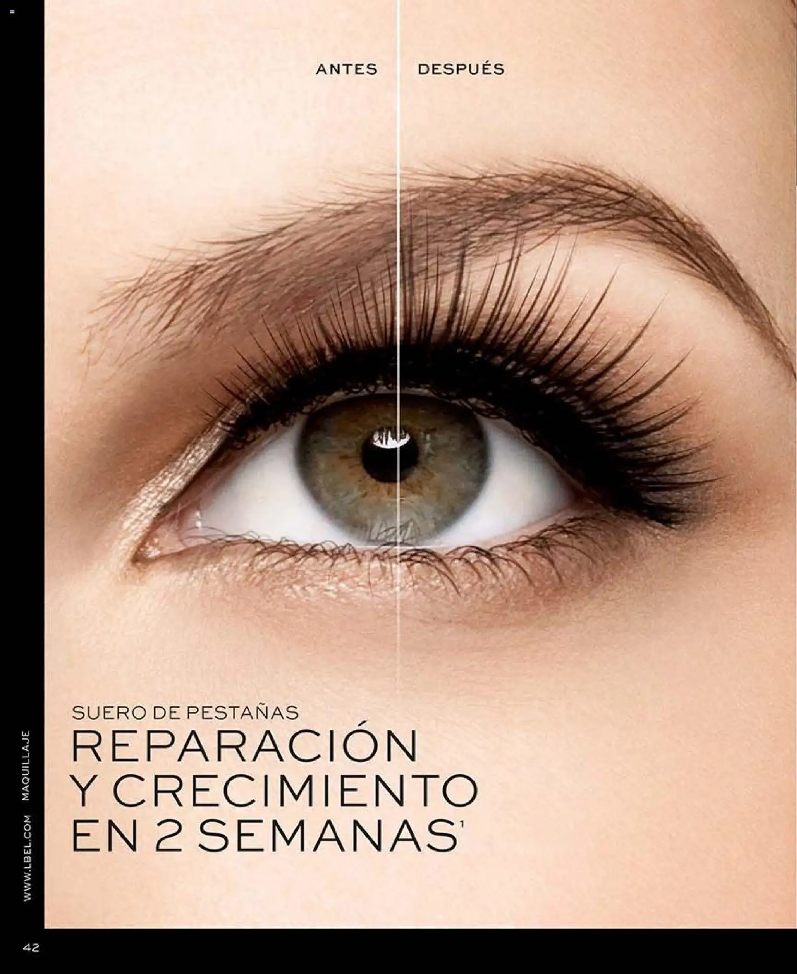 Catálogo L'Bel Campaña 16 │ válido desde el 28.09.2026 | Página: 42 | Productos: Maquillaje