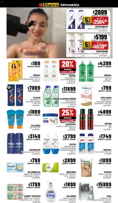 Vista previa Diarco - Ofertas Gba válido desde el 06/07/2026 | Página: 13