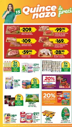 Vista previa de Arteli folleto Express, nuevo folleto de la tienda, válido en México a partir del 15.06.2026