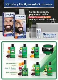 Vista previa de Chedraui folleto, nuevo folleto de la tienda, válido en México a partir del 04/05/2026 | Página: 75 | Productos: Peine