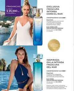 L'Bel catálogo C09/2026 -  Vista previa de la revista de la tienda L'Bel valido desde el 05.06.2026 | Página: 34 | Productos: Pera