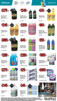 Vista previa Yaguar - Especial Limpieza Córdoba válido desde el 20.04.2026 | Página: 4 | Productos: Botella, Baño, Jabón, Suavizante