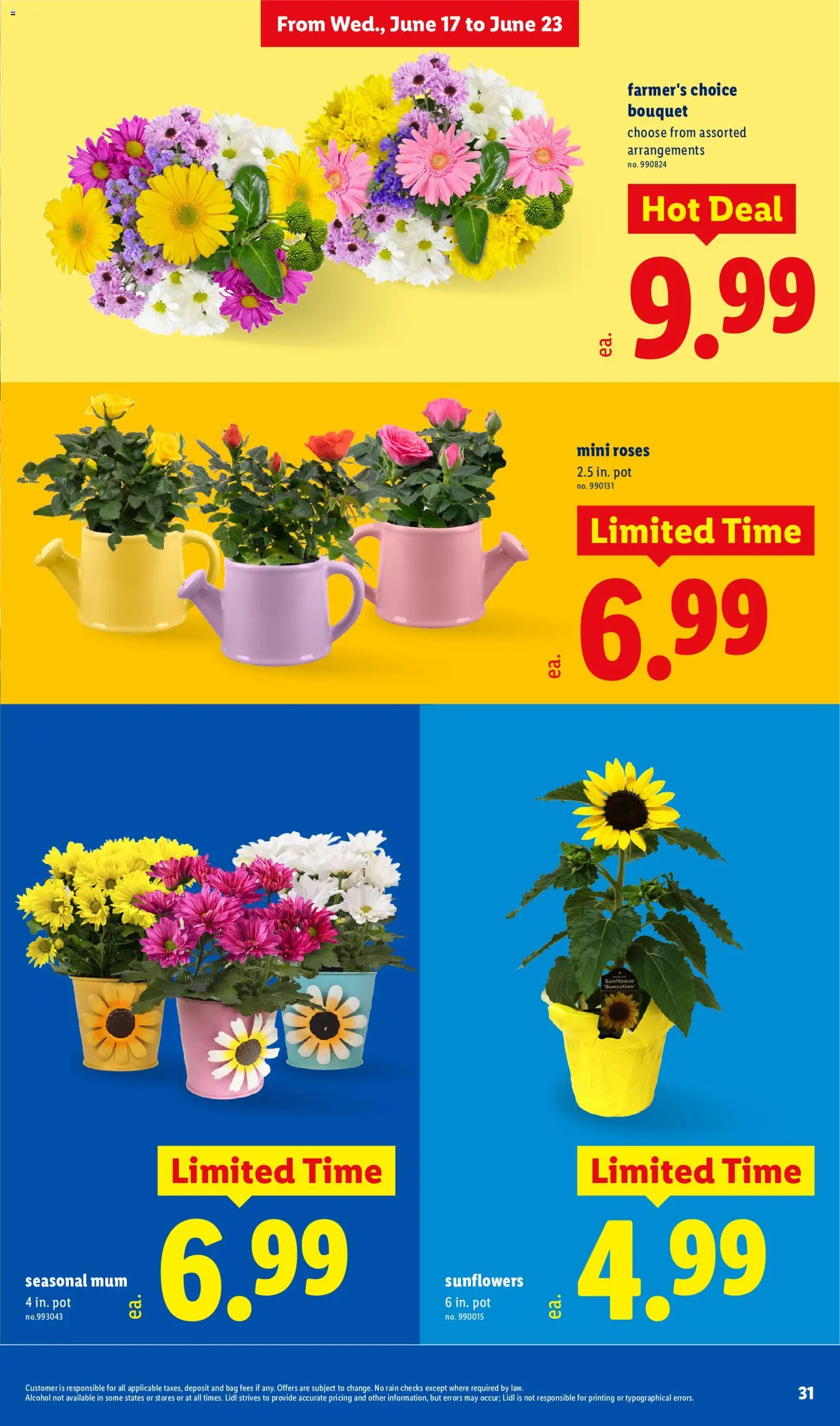 Lidl Weekly Ad - valid from 17.06.2026 | Page: 31