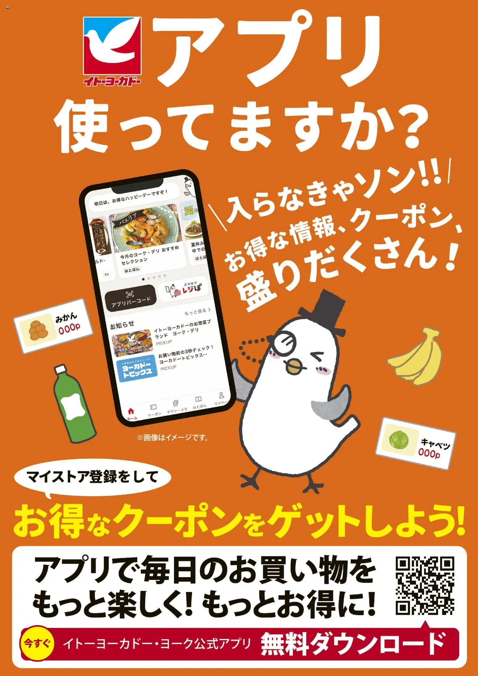 {H1} | ページ: 2 | 製品: キャベツ