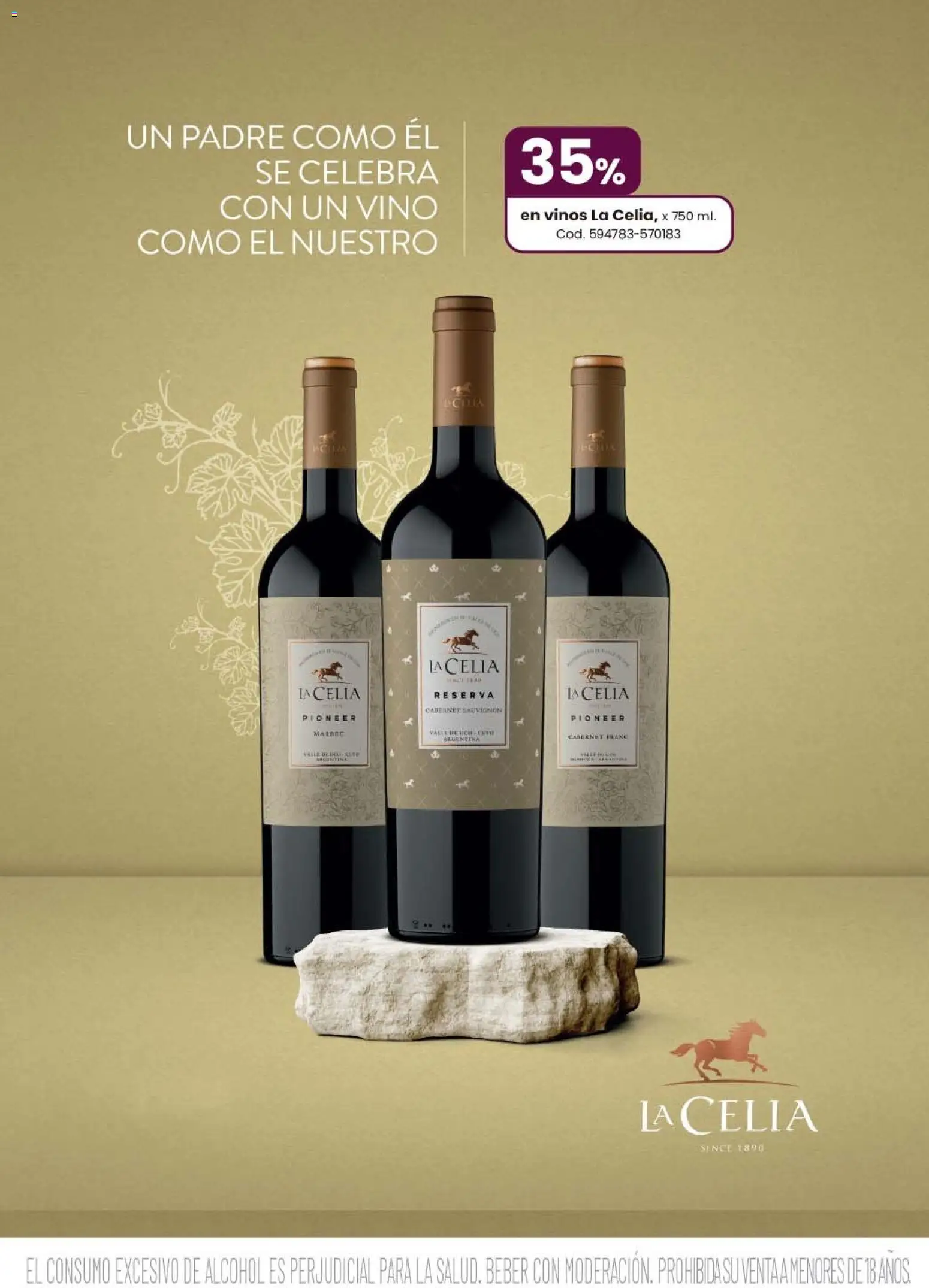 Coto - EL CONSUMO EXCESIVO DE ALCOHOL │ válido desde el 08.06.2026 | Página: 22 | Productos: Vino