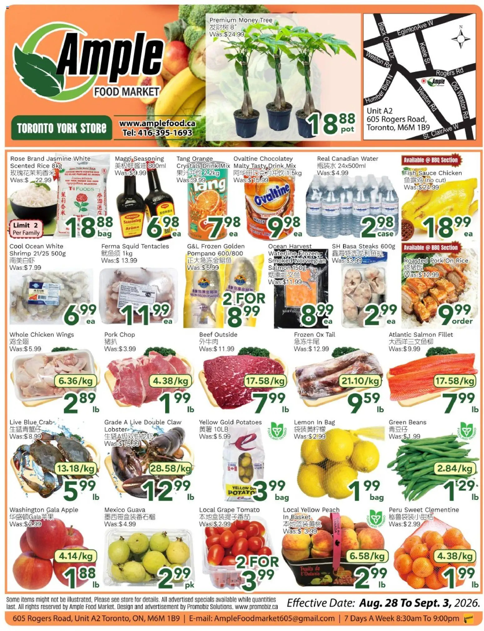 Ample Food Market flyer valid from Aug 28, 2026 | Page: 1 | Products: Water, Salmon, Salmon fillet, Whole chicken