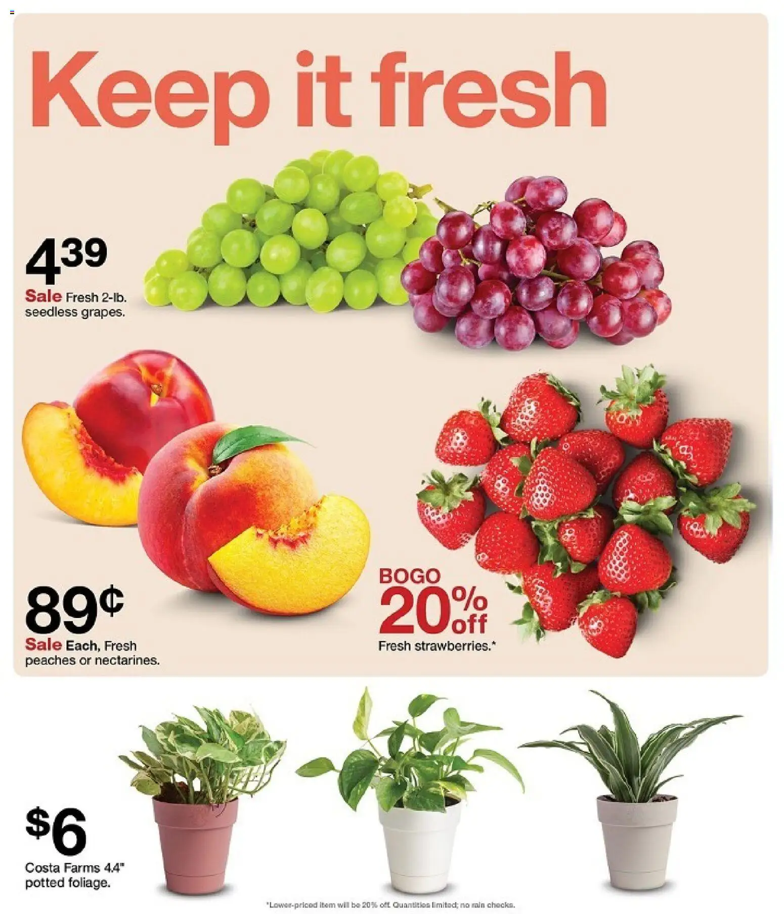 Nuevas ofertas de Target válidas en toda la República Mexicana desde el 09/08/2026. ¡Encuentra las mejores ofertas en Target folleto! | Página: 42