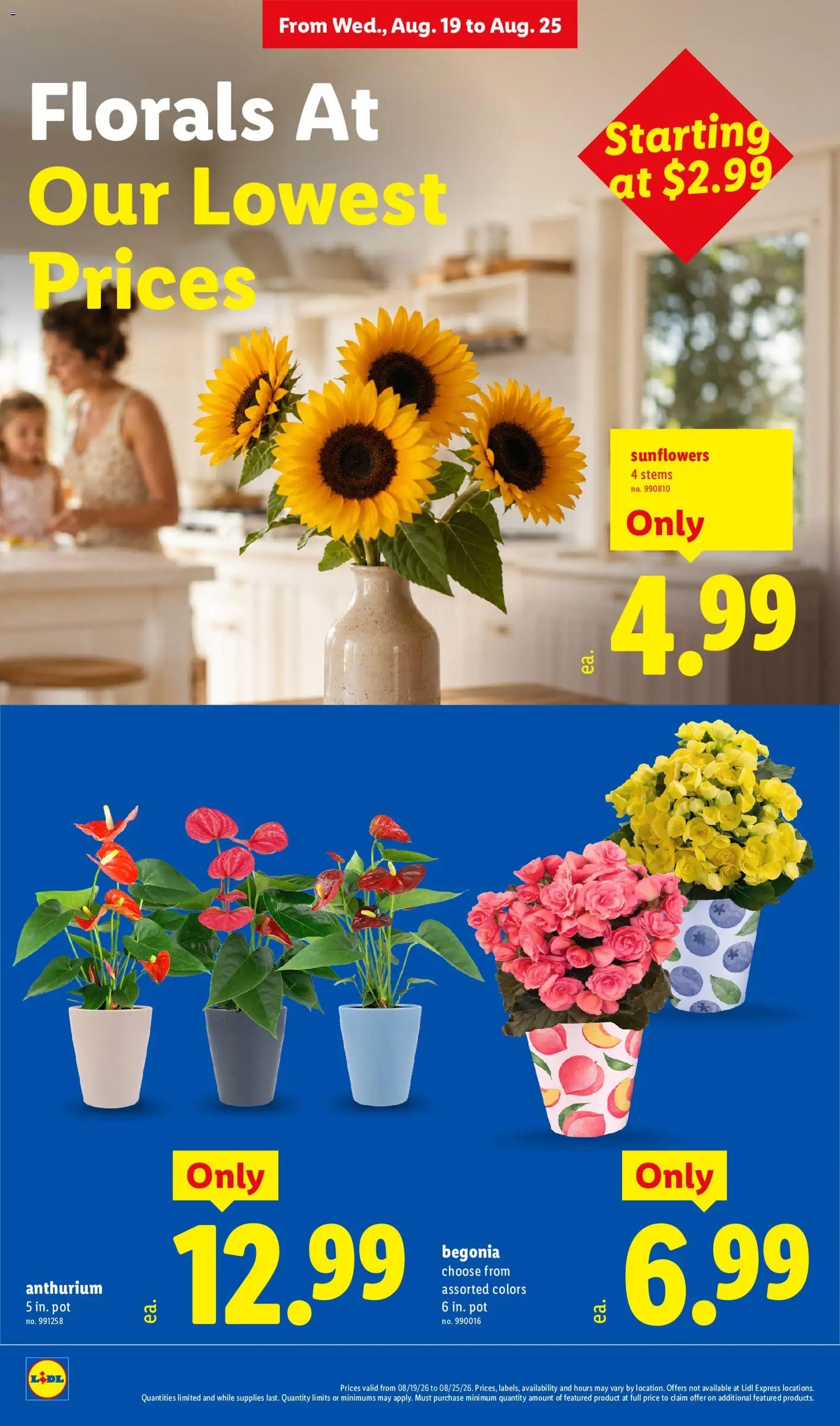 Lidl Weekly Ad - valid from 08/19/2026 | Page: 8