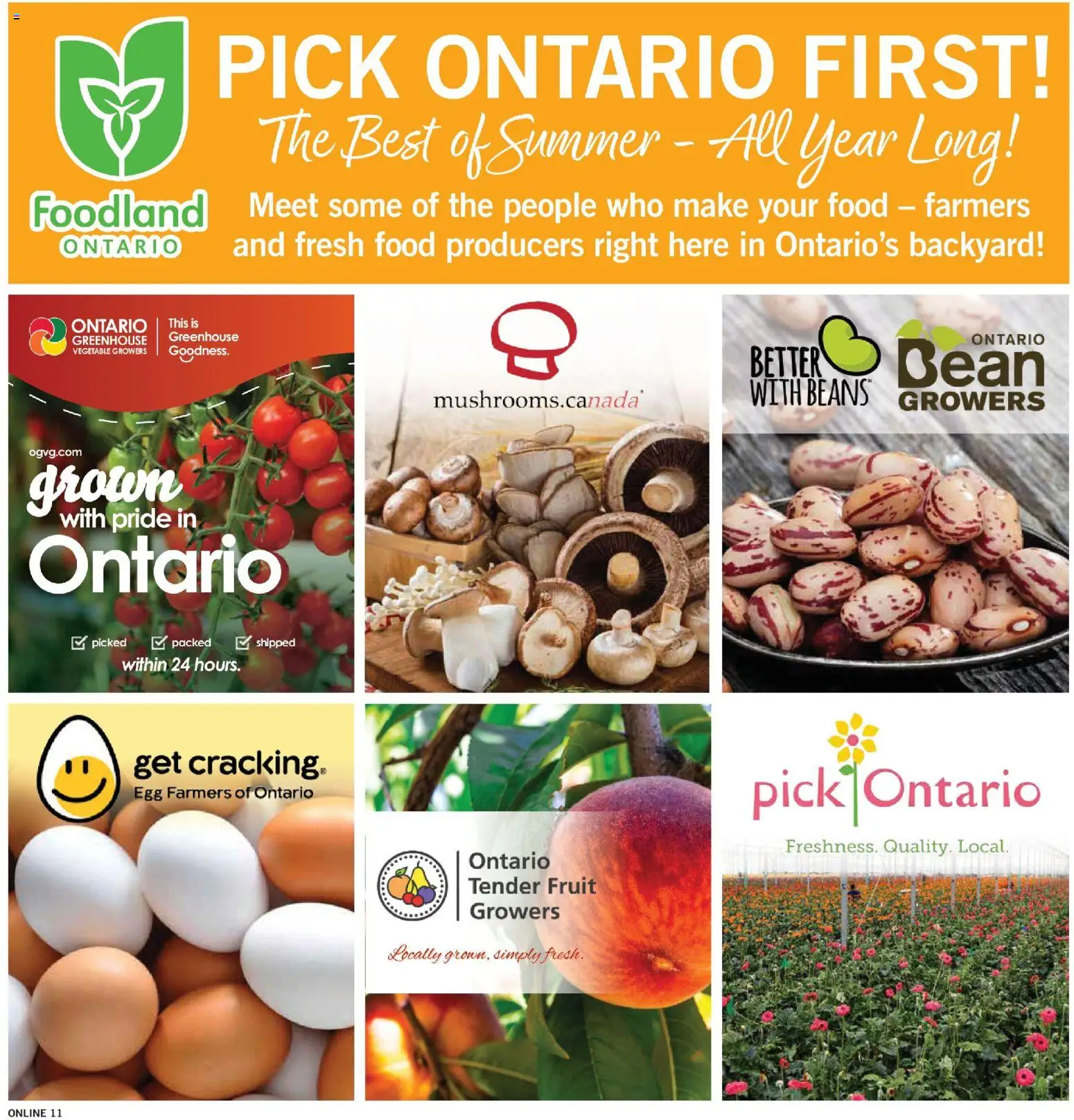 Fortinos flyer valid from Aug 6, 2026 | Page: 11