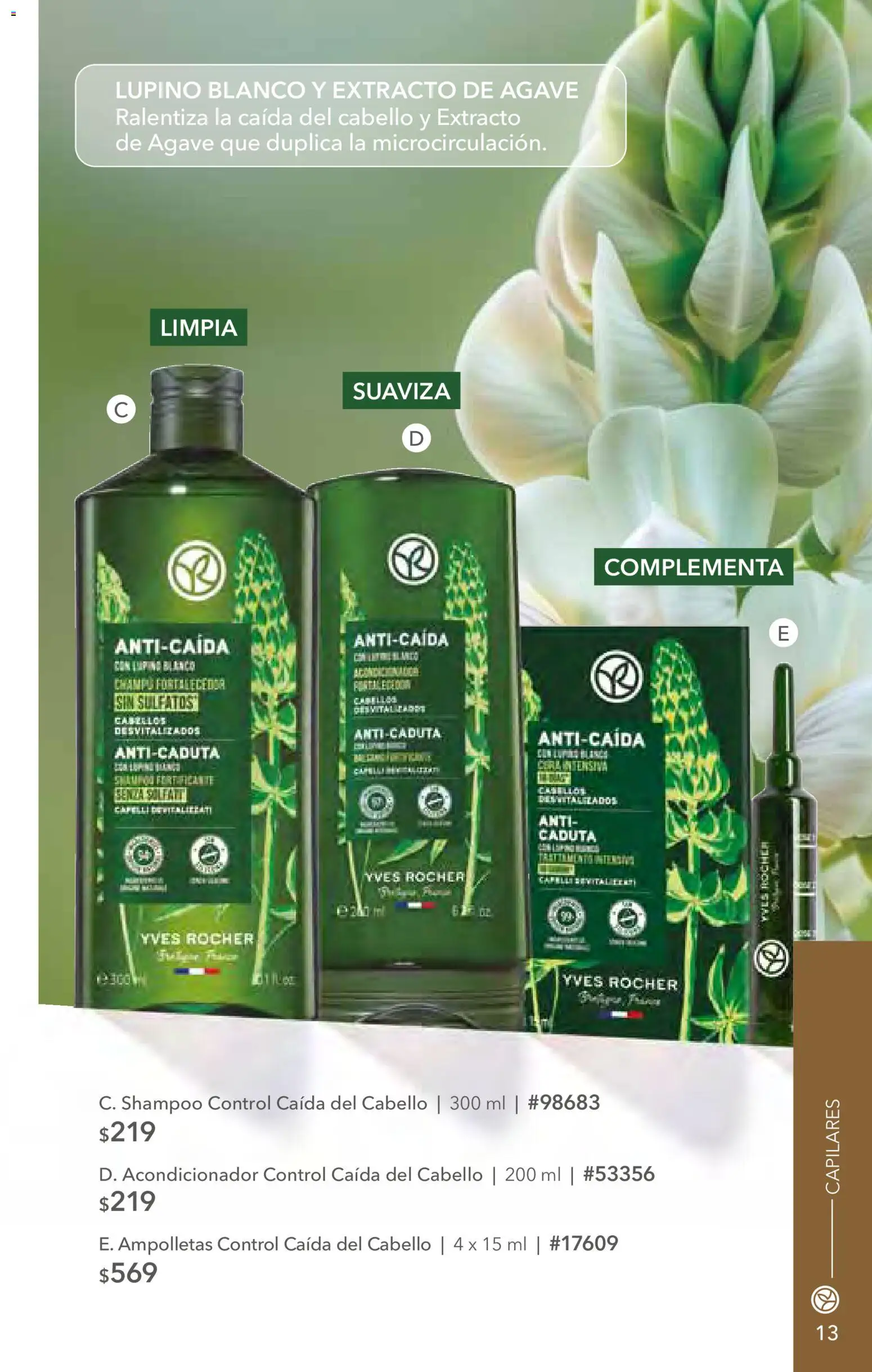 Nuevas ofertas de Yves Rocher válidas en toda la República Mexicana desde el 12.05.2026. ¡Encuentra las mejores ofertas en Yves Rocher campaña 7 2026! | Página: 13 | Productos: Champú, Acondicionador