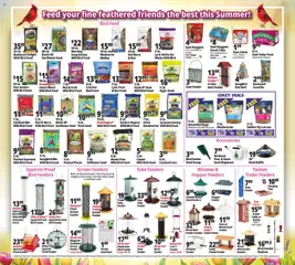 Preview of Ocean State Job Lot weekly ads valid from 07/30/2026 | Page: 23
