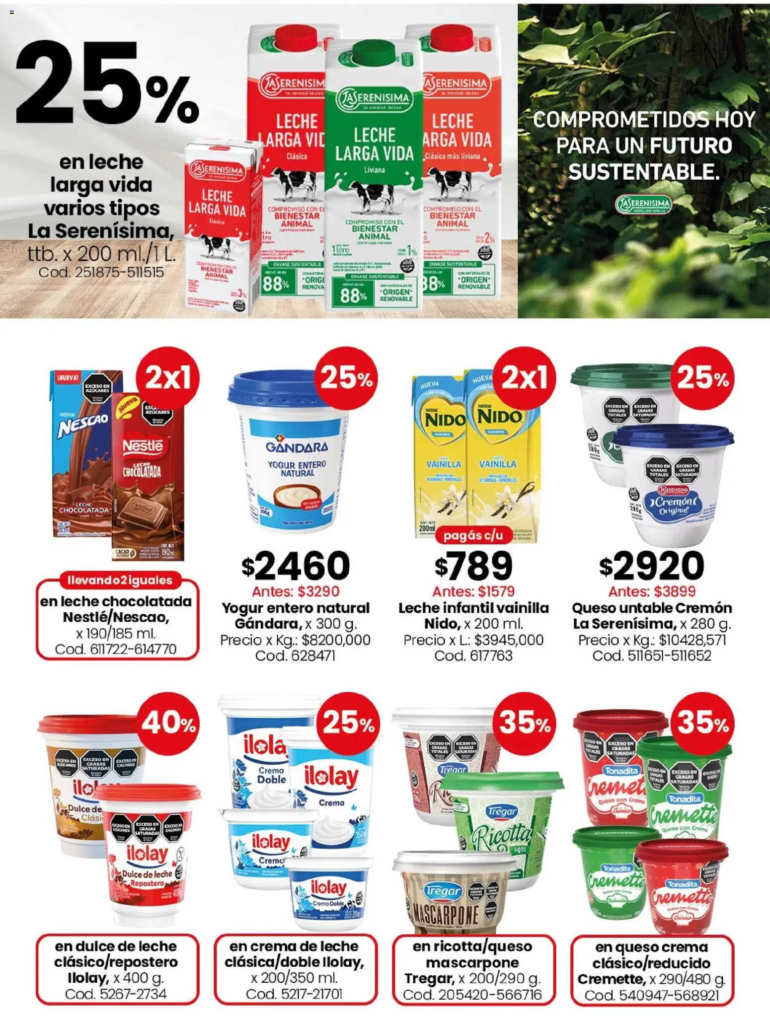 Coto - Carnes, verduras, pescadería, frescos y elaborados │ válido desde el 08.06.2026 | Página: 7 | Productos: Queso crema, Queso, Yogur, Cacao