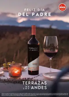 Vista previa Disco - Dia Del Padre válido desde el 12.06.2026 | Página: 14 | Productos: Disco