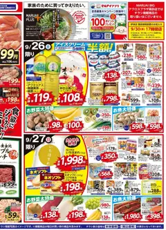 2026/09/26から有効なオファーを含む マルアイ - チラシ | ページ: 2