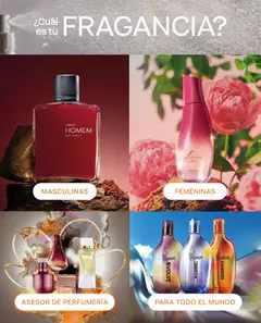 Natura Ofertas válido desde el 30.04.2026 | Página: 51 | Productos: Fragancia