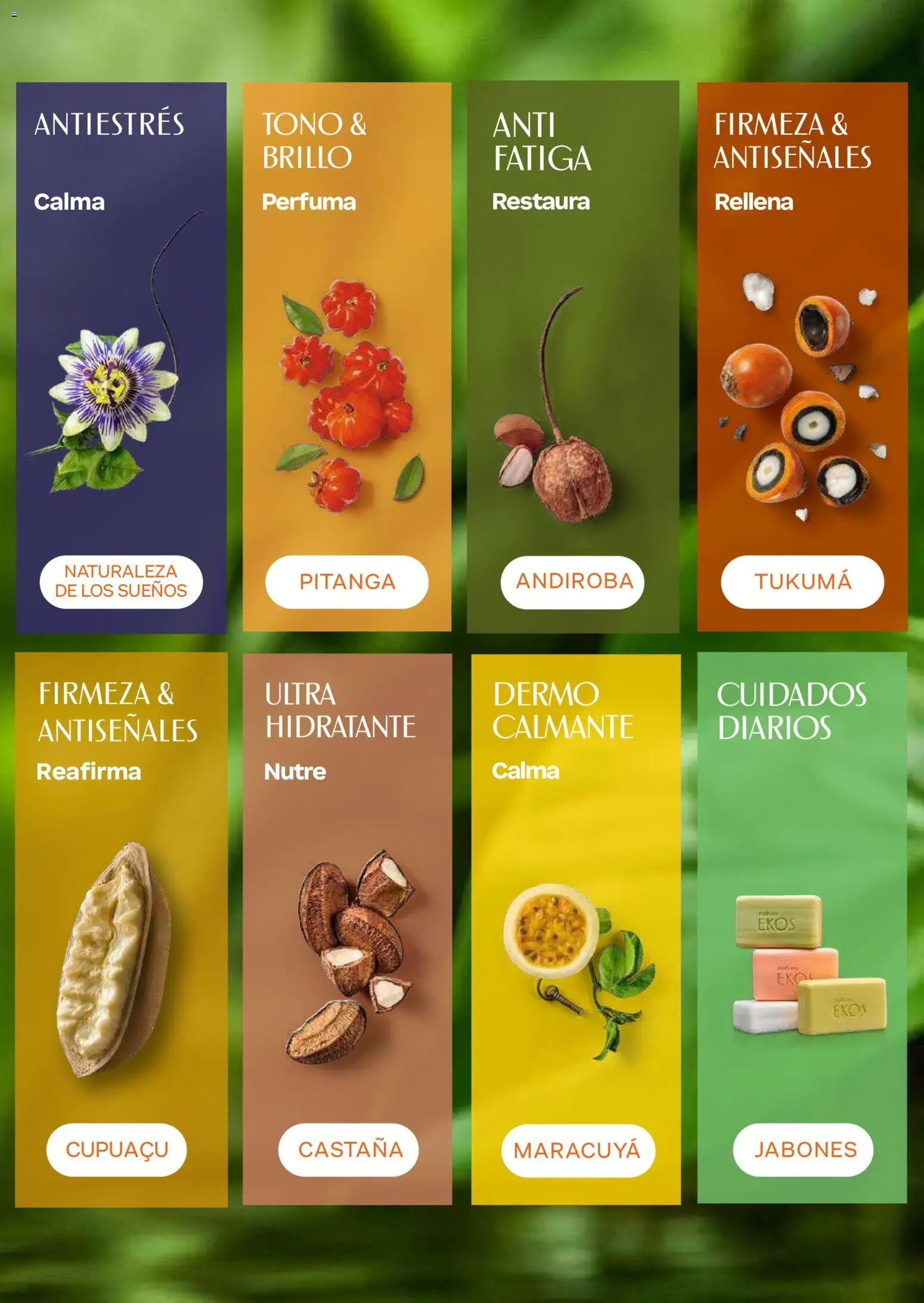 Natura revista - valida desde el 13/08/2026 | Página: 144