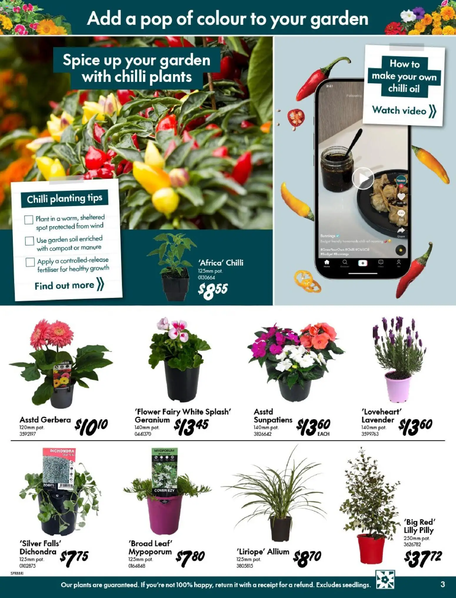 Bunnings Warehouse catalogue - valid from 09/09/2026 | Page: 3