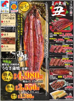 2026/07/25から有効なオファーを含む 万代 - チラシ