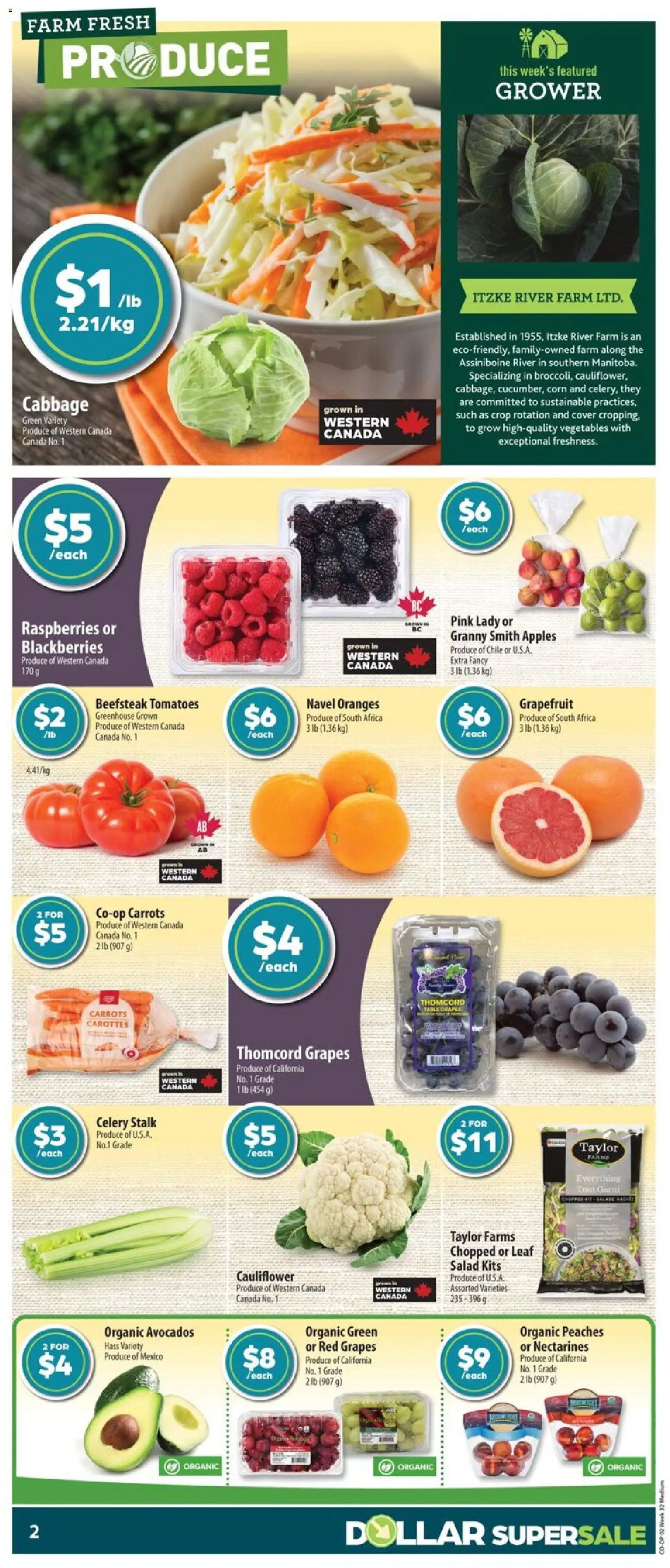 Co-op Food flyer valid from Aug 6, 2026 | Page: 4 | Products: Salad, Table, Oranges, Tomatoes
