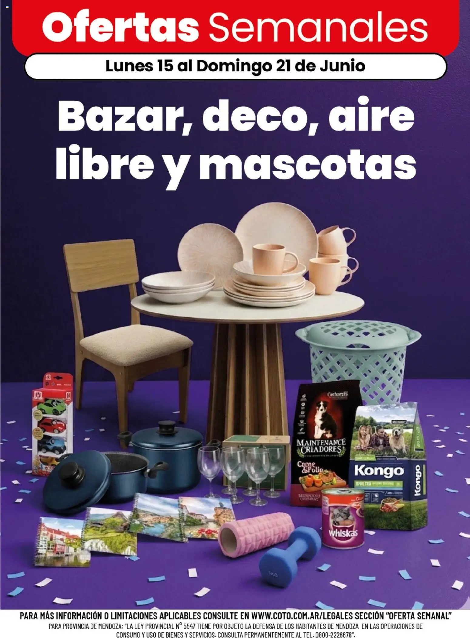 Coto - Bazar, deco, aire libre y mascotas │ válido desde el 15.06.2026 | Página: 1