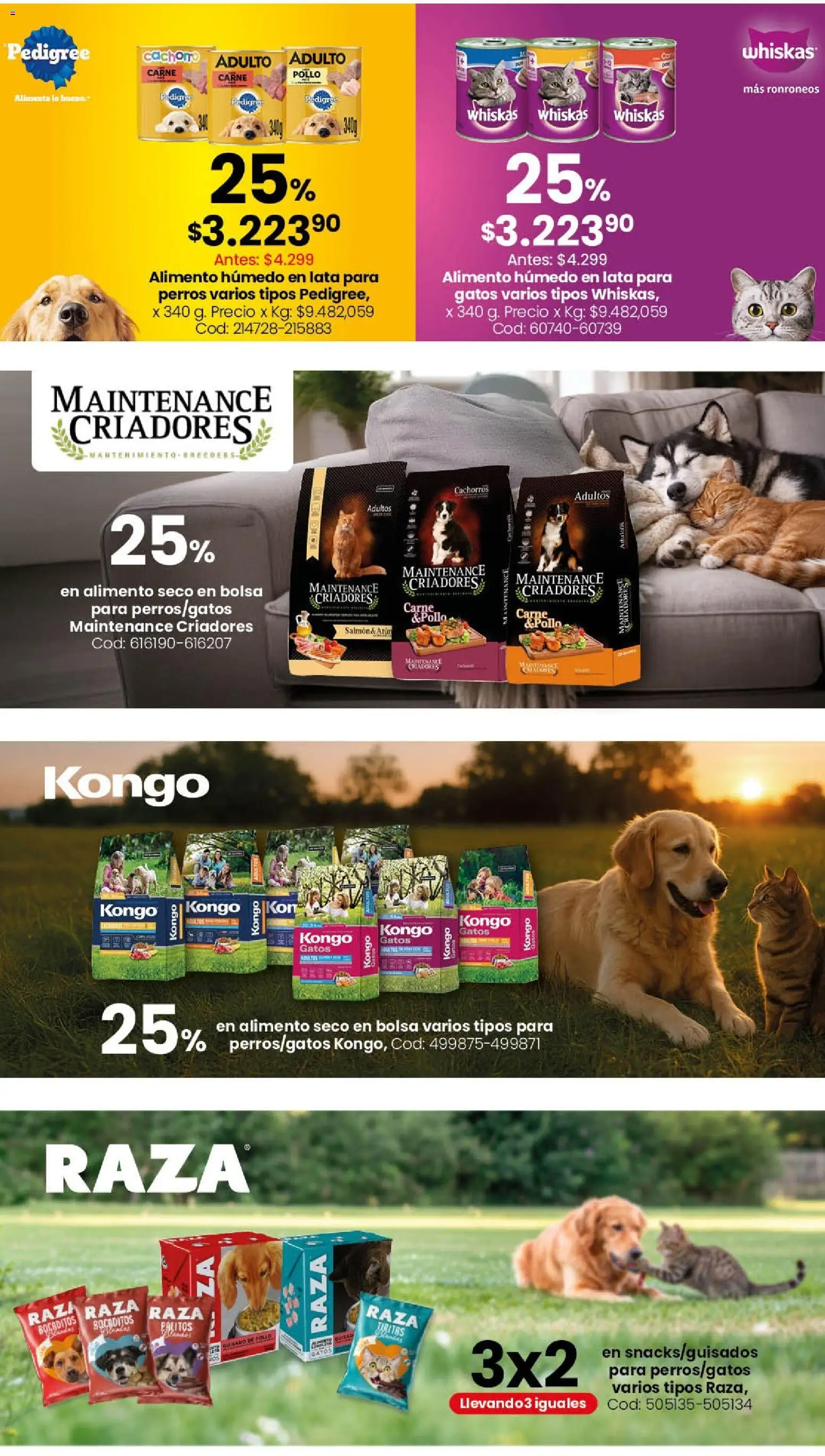 Coto - Bazar, deco, aire libre y mascotas │ válido desde el 15.06.2026 | Página: 4 | Productos: Bolsa, Pollo, Atún