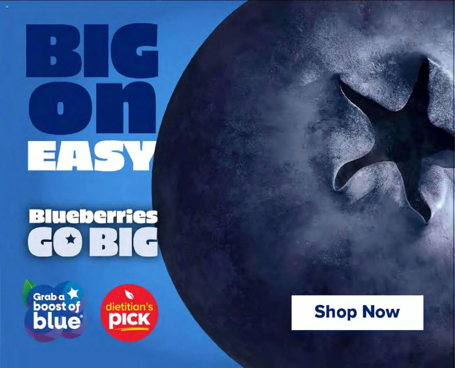 Giant Weekly Ad - valid from 01.05.2026 | Page: 14 | Products: Blueberries