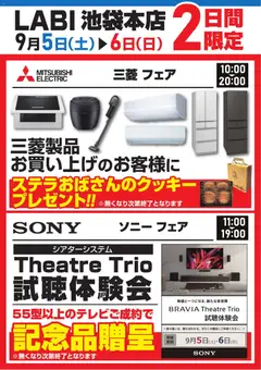 2026/09/02から有効なオファーを含む ヤマダ 電機 - 2日間限定フェア
