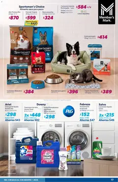 Vista previa de Alta Proteína Res, Alimento seco para perro, nuevo folleto de la tienda, válido en México a partir del 03/07/2026 | Página: 17