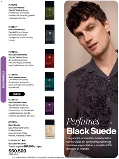 Avon catálogo Ciclo 9 -  Vista previa de la revista de la tienda Avon valido desde el 15.06.2026 | Página: 93 | Productos: Pimienta, Manzana, Eau de toilette, Torno