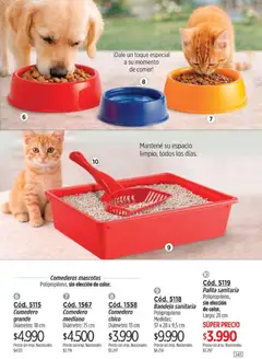 Vista previa Catálogo Amodil Campaña 9 válido desde el 05.05.2026 | Página: 141 | Productos: Bandeja