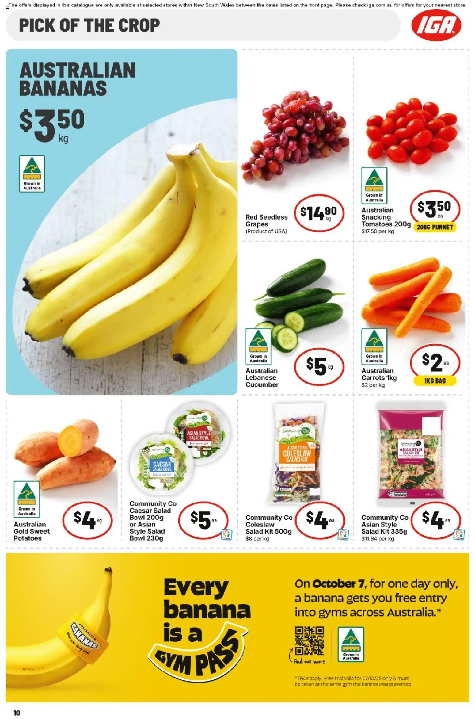 IGA catalogue - valid from 07/10/2026 | Page: 16